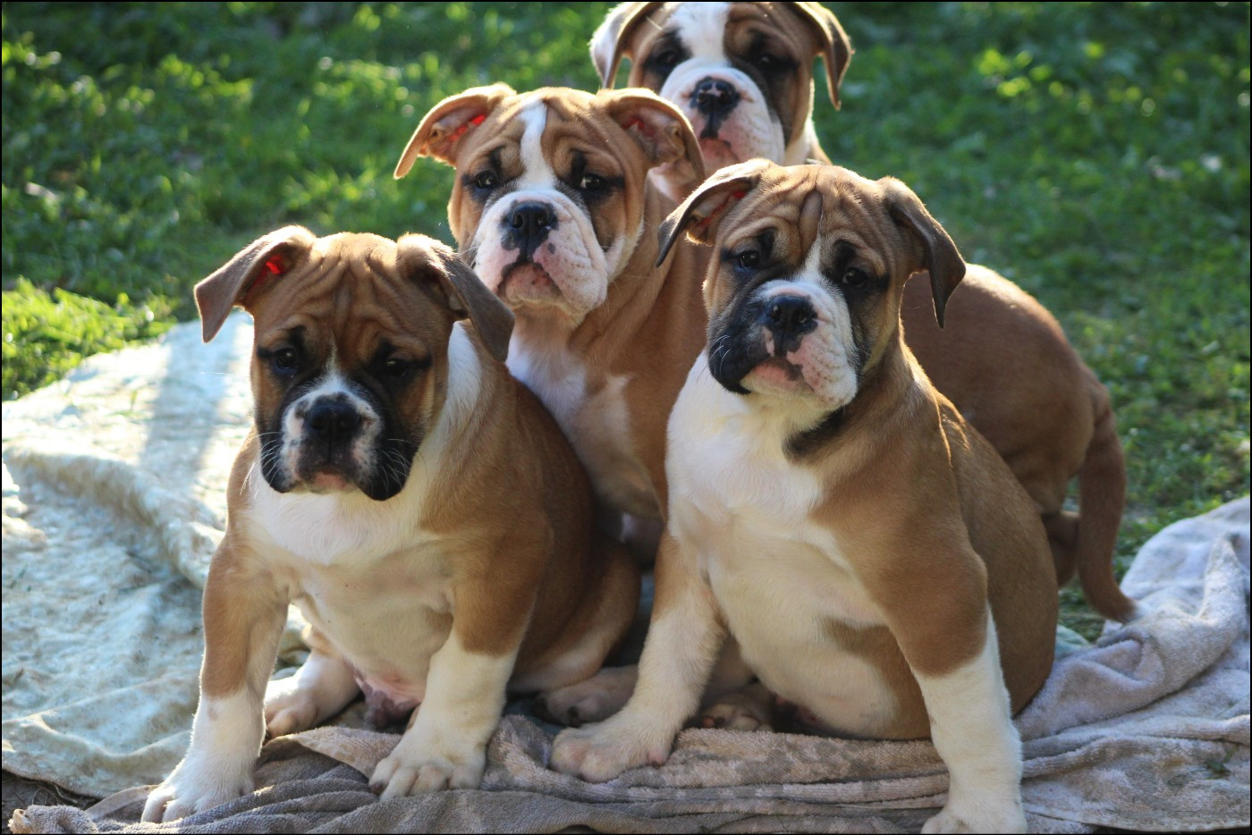 Très bonne nouvelle !